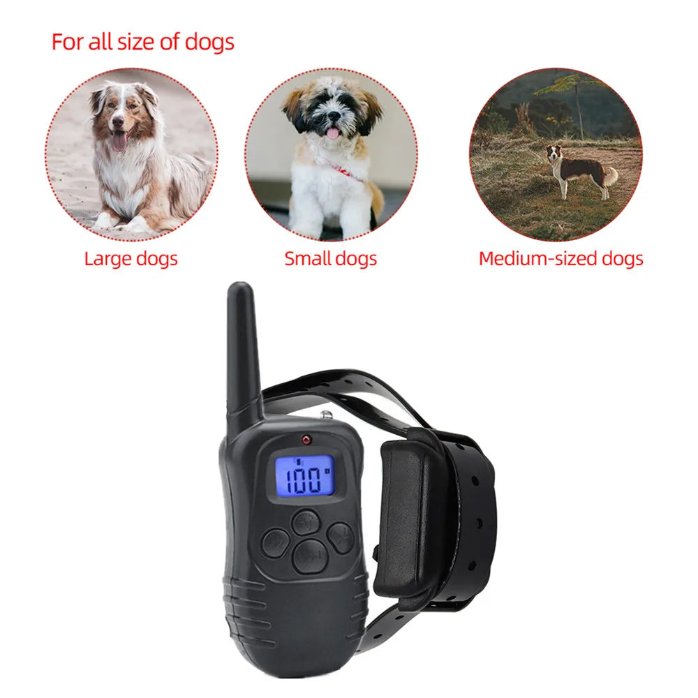 Dog Training Collar