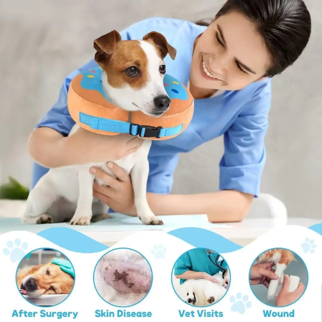 Inflatable Elizabeth Pet Collar